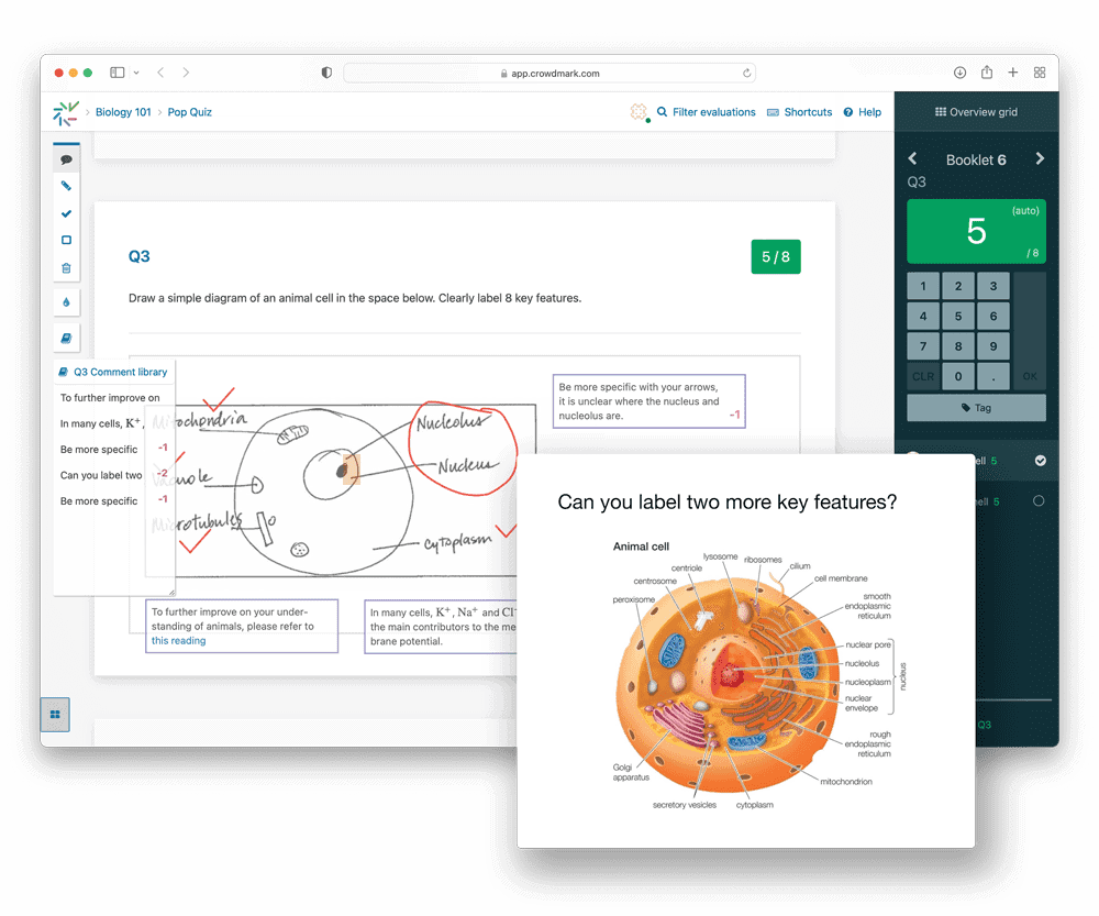 More Interactive and Virtual Teaching Tools on Nuclear Now Available